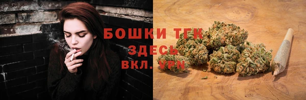 мдпв Богданович