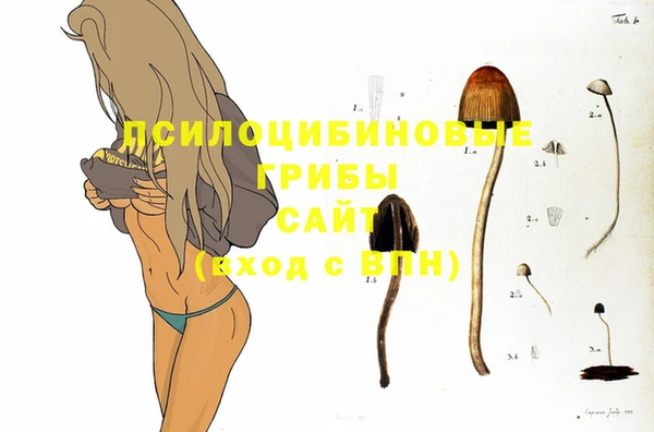 молекула духа Богородицк