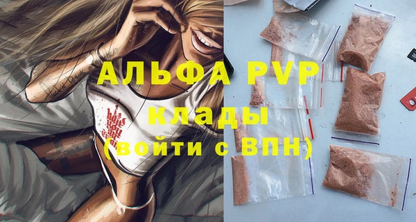 мдпв Богданович