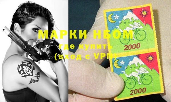 молекула духа Богородицк