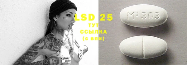 молекула духа Богородицк