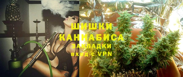 мдпв Богданович