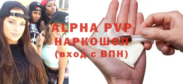 молекула духа Богородицк